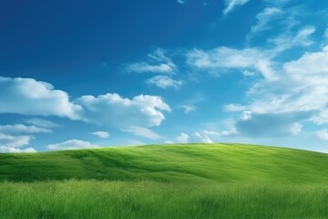 Wall Mural - Green lawn under blue sky and white clouds