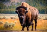 Fototapeta  - muzzle of a bison close-up. Generative AI