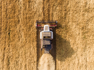 Sticker - harvester on the wheat field from the top view