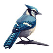 cartoon small blue jay bird icon flat