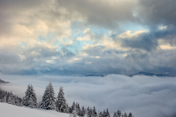 Sticker - Winter Carpathian mountains and fog with beautiful sunlight. Trees covered with snow.