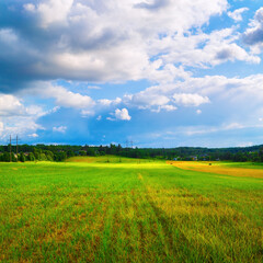 Poster - Bright sunny day in the countryside. Rural landscape. Blue sky with cumulus clouds and a field of green grass.