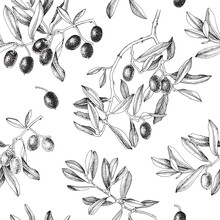 Seamless Monochrome Pattern Of Olive Branches.