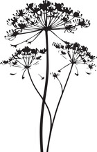 Queen Annes Lace Black And White, Vector Template Set For Cutting And Printing