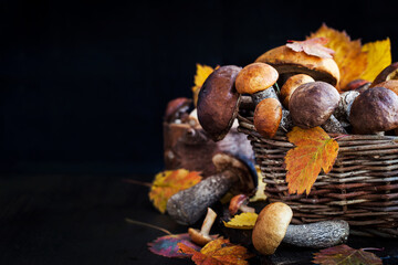 Sticker - Autumnal wild forest edible mushrooms (boletus) in basket