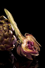 Canvas Print - Fresh artichoke isolated on black background. Culinary healthy vegetable eating.