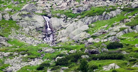Wall Mural - waterfall in the mountains, water flowing on the mountain hills, nature of bulgaria. rila lakes.