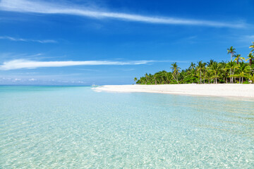 Poster - Fantastic turquoise beach with palm trees and white sand in the Philippines