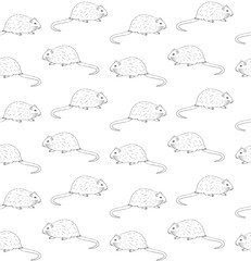 Wall Mural - Vector seamless pattern of hand drawn doodle sketch nutria isolated on white background