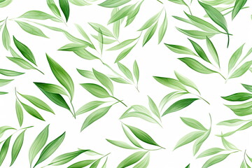 Wall Mural - green leaves on white background