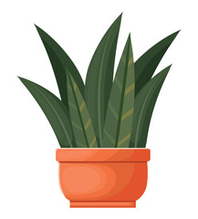 Wall Mural - plant growth in flower pot