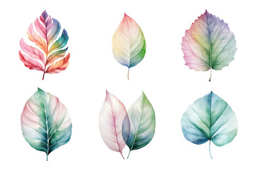 Wall Mural - colorful watercolor pastel leaves elements collection isolated on transparent background