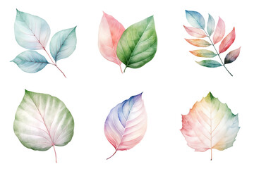 Wall Mural - colorful watercolor pastel leaves elements collection isolated on transparent background