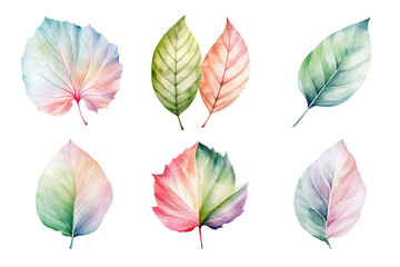 Wall Mural - colorful watercolor pastel leaves elements collection isolated on transparent background