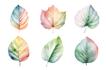 Wall Mural - colorful watercolor pastel leaves elements collection isolated on transparent background