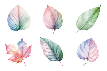 Wall Mural - colorful watercolor pastel leaves elements collection isolated on transparent background