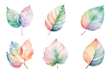 Wall Mural - colorful watercolor pastel leaves elements collection isolated on transparent background