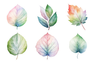 Wall Mural - colorful watercolor pastel leaves elements collection isolated on transparent background