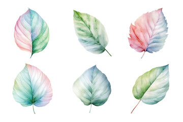 Wall Mural - colorful watercolor pastel leaves elements collection isolated on transparent background
