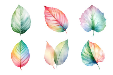 Wall Mural - colorful watercolor pastel leaves elements collection isolated on transparent background