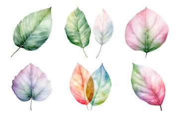 Wall Mural - colorful watercolor pastel leaves elements collection isolated on transparent background