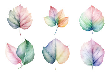 Wall Mural - colorful watercolor pastel leaves elements collection isolated on transparent background