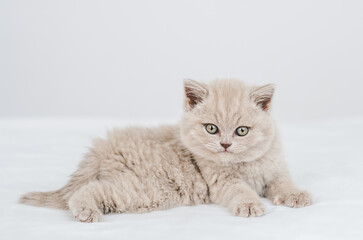 Aufkleber - Cute kitten lying on a bed at home