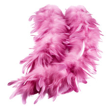 Pink Feather Boa Isolated On White Background, Party   Isolated Png.
