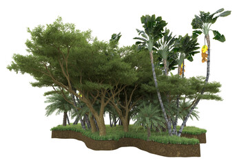 Wall Mural - Tropical landscape isolated on transparent background. 3d rendering - illustration