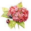 flowers and red ladybug