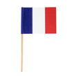 isolated minature flag, country france
