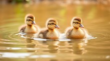 Fluffy Baby Ducks As They Paddle Gracefully In The Water. These Tiny And Cute Creatures Showcase Their Natural Instincts, Navigating The Pond With Ease And Playfulness. Generated By AI.
