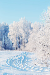 beautiful sunny winter landscape with hoarfrost