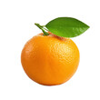 tangerines on a white