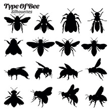 Bee Insect Type Silhouette Vector Set