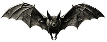 Bat In Flight. Wing Flap. Isolated Transparent Background. Generative Ai