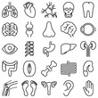 Human internal organs thin line icons set. Kidneys, heart, joint, intestine, ovaries, liver, brain, spine, Vector illustration.