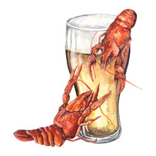 Juicy Composition Boiled Crayfish With A Glass Of Golden Beer. Watercolor Illustration Isolated On Transparent Background. Designed For Printing Postcards, Menus, Prints