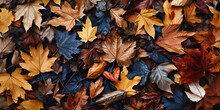 A Full-frame Wide Panoramic Shot Of Colorful Autumn Leaves On The Ground Viewed From Directly Above - Generative AI