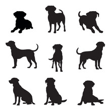 Labrador Retriever Silhouette Set - Isolated Vector Images Of Wild Animals