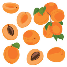 Apricot Set. Vector Illustration Of Delicious Fruits In Cartoon Style. Ripe Whole Fruit And Slices Isolated On White Background. Element For Design, Logo, Packaging Of Juice Or Jam.