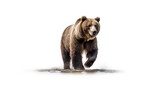 Fototapeta  - Powerful grizzly bear photo realistic illustration - Generative AI.