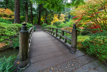 Fall Colors By The Foot Bridge At Japanese Garden In Autumn