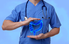 Gastroenterologist Holding Illustration Of Large Intestine On Light Blue Background, Closeup