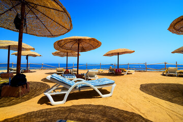 Wall Mural - Vacation on the beach of Red sea in Egypt