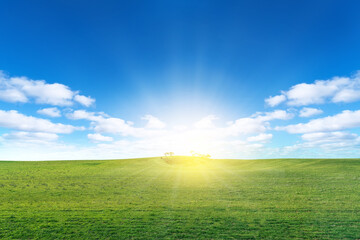 Wall Mural - Green meadow  with sun and blue sky with clouds