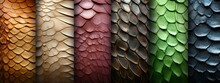 Animal Reptilian Background Banner - Set Collection Of Closeup Of Abstract Snake Skin Texture Pattern With Scale Detail In Different Colors (Generative Ai)