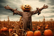 Scary scarecrow in a field full of pumpkins. Halloween concept