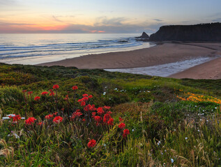 Wall Mural - Pink sunset ocean scenery and summer Odeceixe beach (Aljezur, Algarve, Portugal).