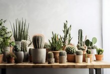 Cactuses In DIY Concrete Pots Are Shown In A Panoramic Shot Against A White Wall. Generative AI